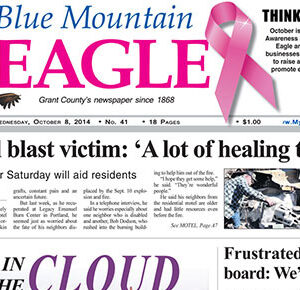 Daily Mountain Eagle